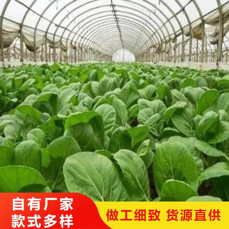 烟台淄博潍坊有机肥质量超群