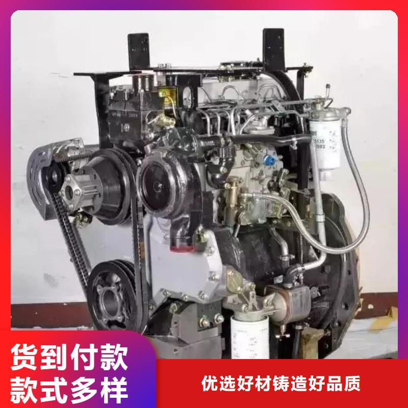 (贝隆)定制292F双缸风冷柴油机_生产厂家