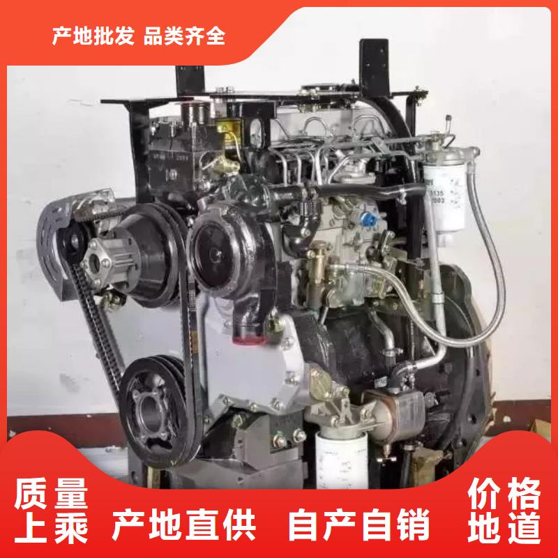 厂家定制【贝隆】292F双缸风冷柴油机新品正品