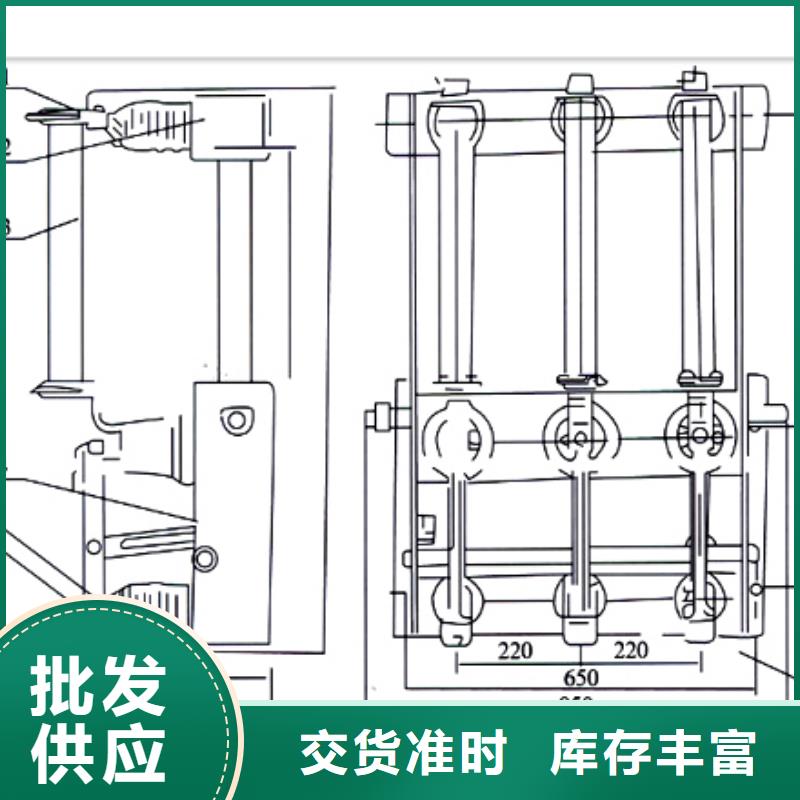 FZN12-12RD/125-31.5负荷开关樊高