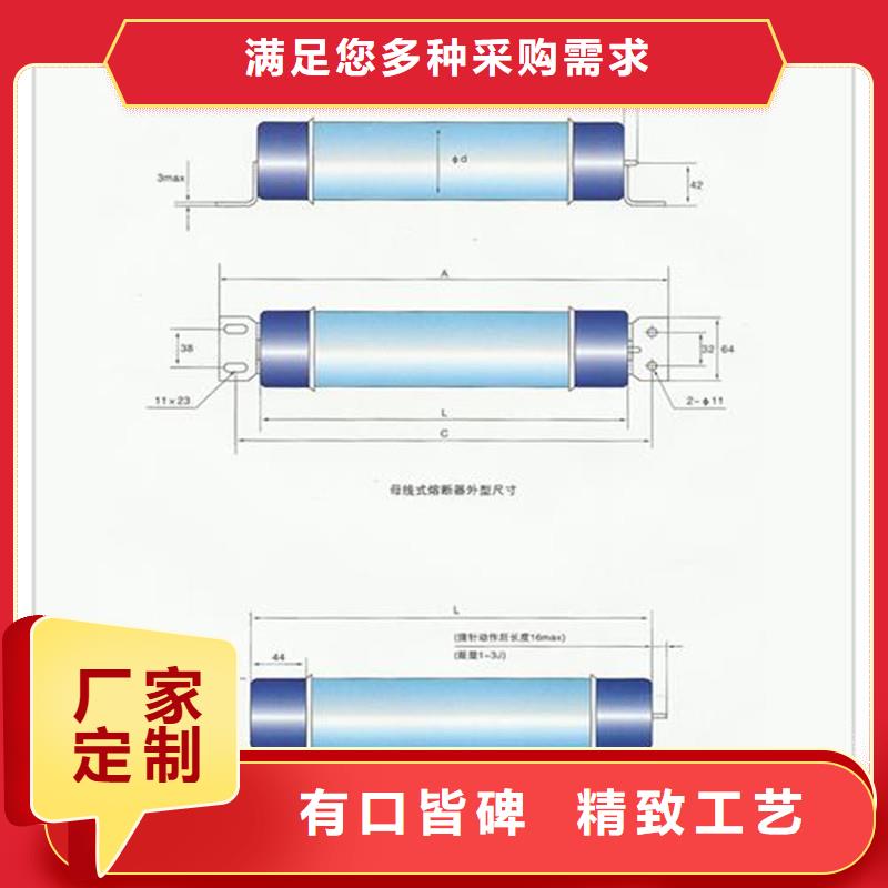 限流熔断器-【固定金具】厂家精品优选