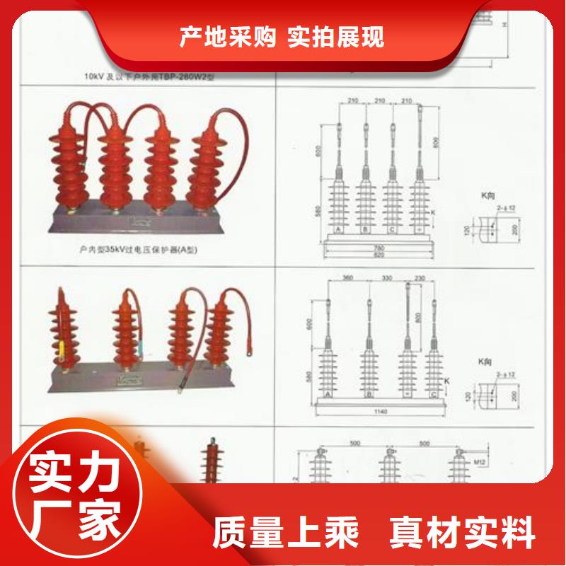 JCQ-10/800避雷器放电计数器图片