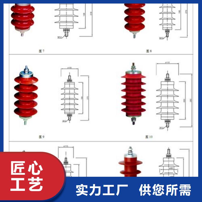 YH1.5WD-4.8/12防雷装置樊高电气