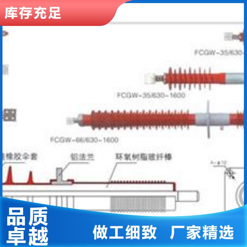 FCGW-12/1250A高压穿墙套管