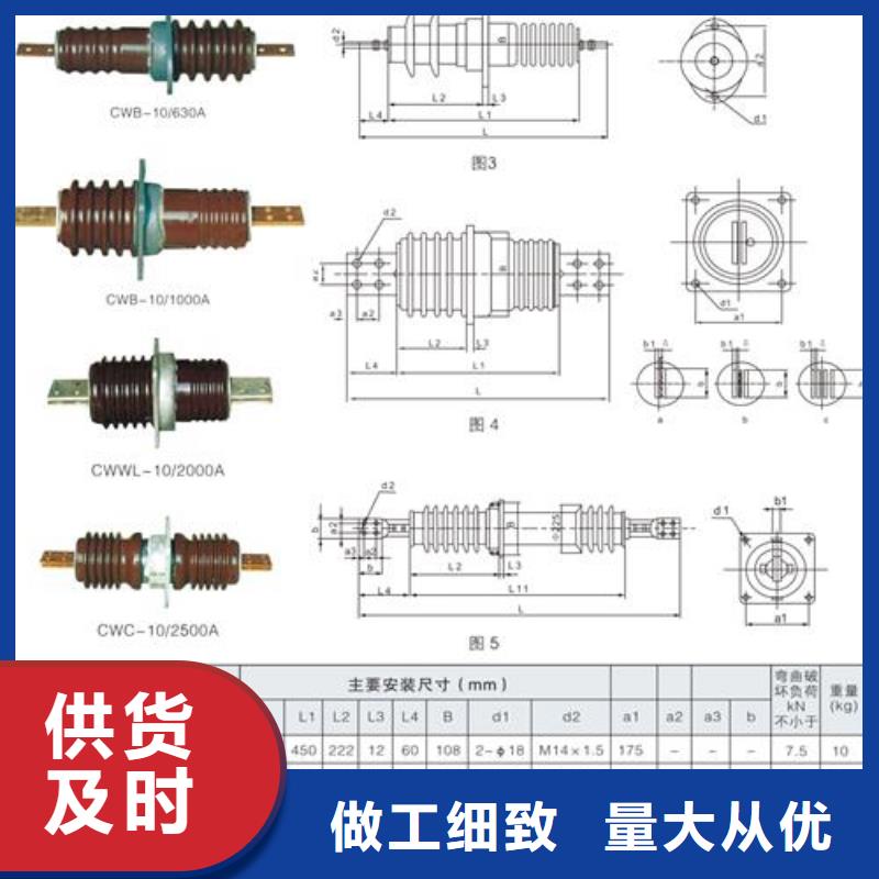 FCRG-10/1250高压复合穿墙套管