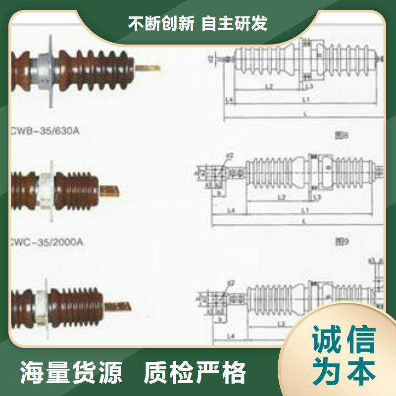 FCRG-10/2500高压硅胶穿墙套管