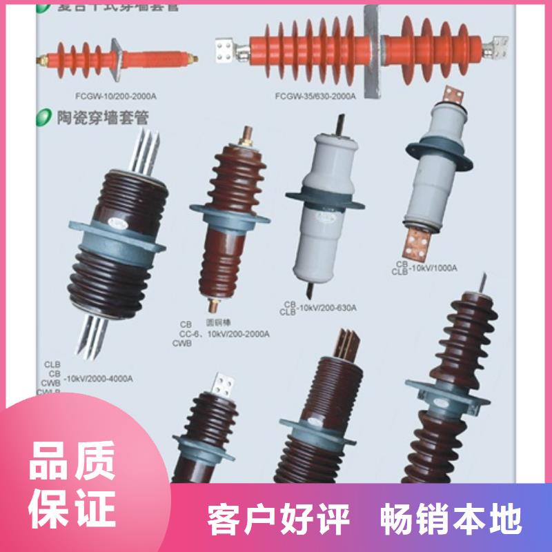 CWWC-20/630陶瓷穿墙套管樊高