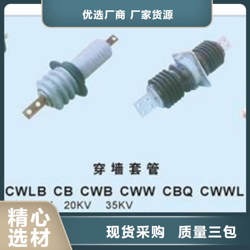 CWWC-10/630A陶瓷穿墙套管