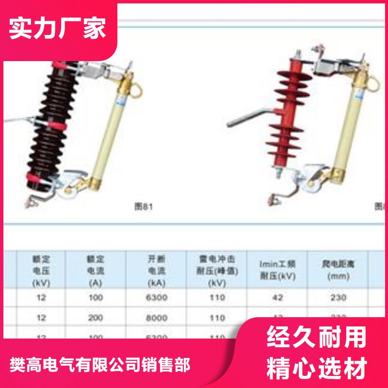 XRNP1-35/0.5A高压保险