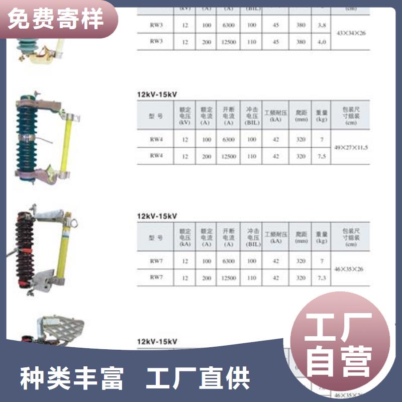 XRNT-24/80A高压保险管