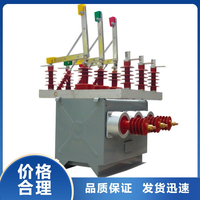 真空断路器氧化锌避雷器批发商