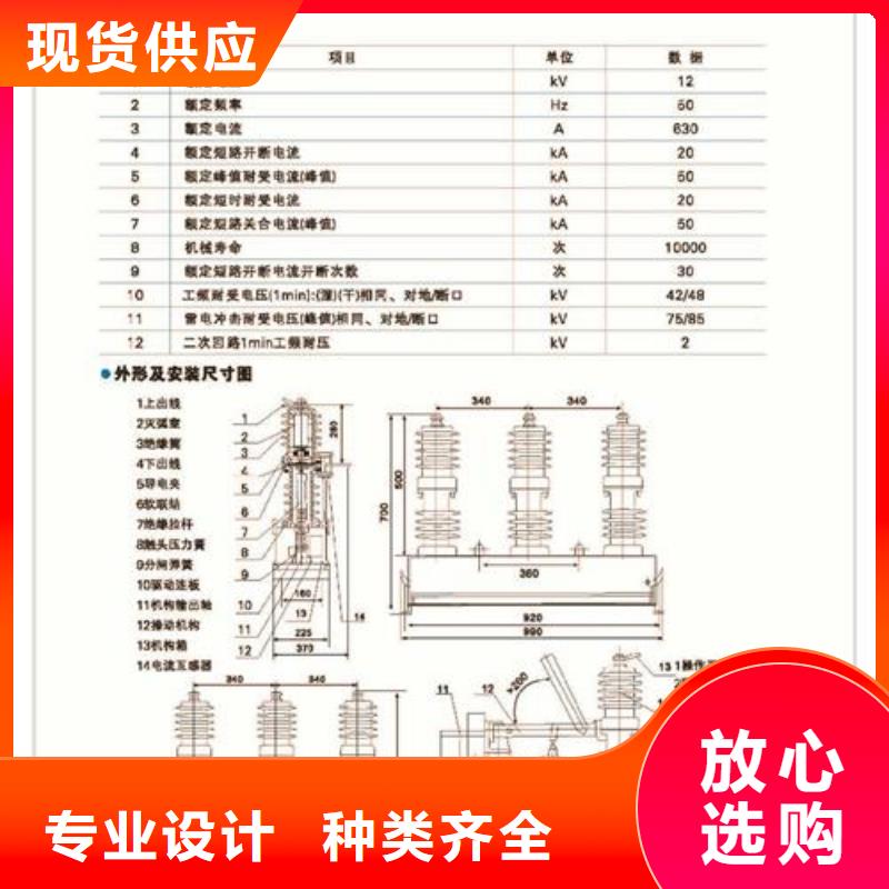 真空断路器氧化锌避雷器批发商