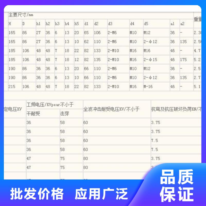 ZJ-10KV/75*130高压环氧树脂绝缘子