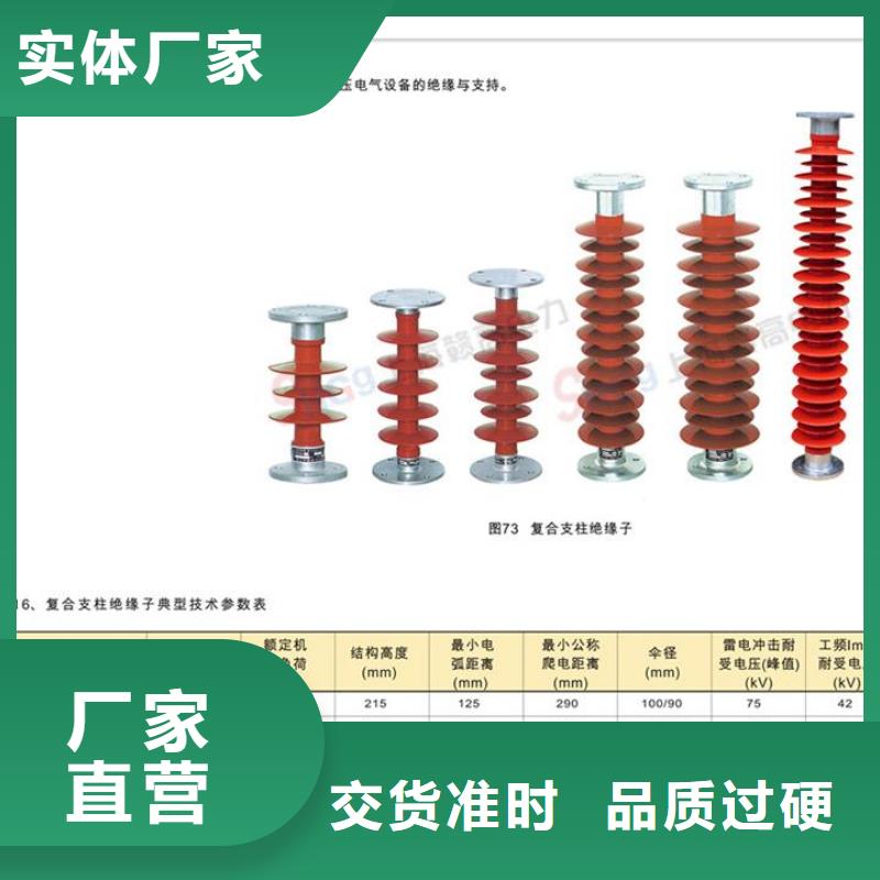 ZSW-110/23.5陶瓷支柱绝缘子