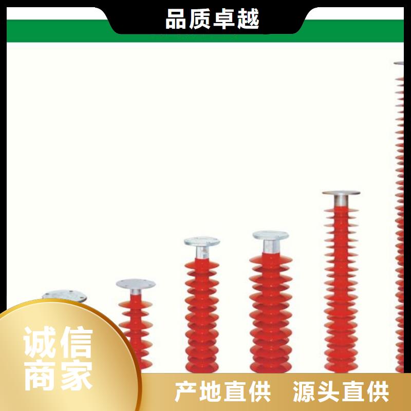 ZSW2-20/10绝缘子樊高电气