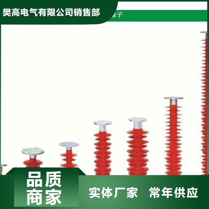 ZJ-10KV/75*130高压环氧树脂绝缘子