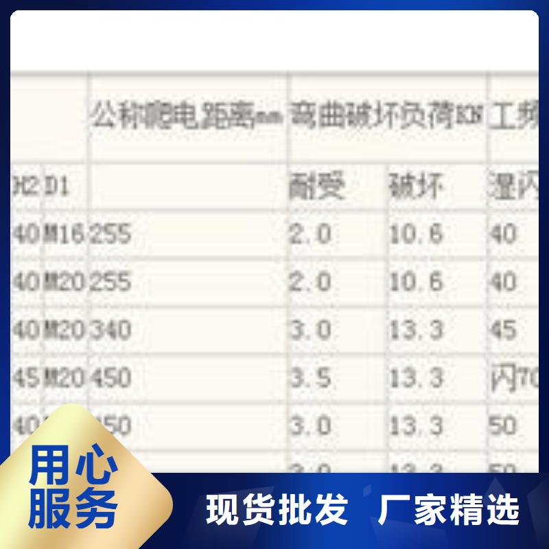 FXBW1-330/120绝缘子樊高