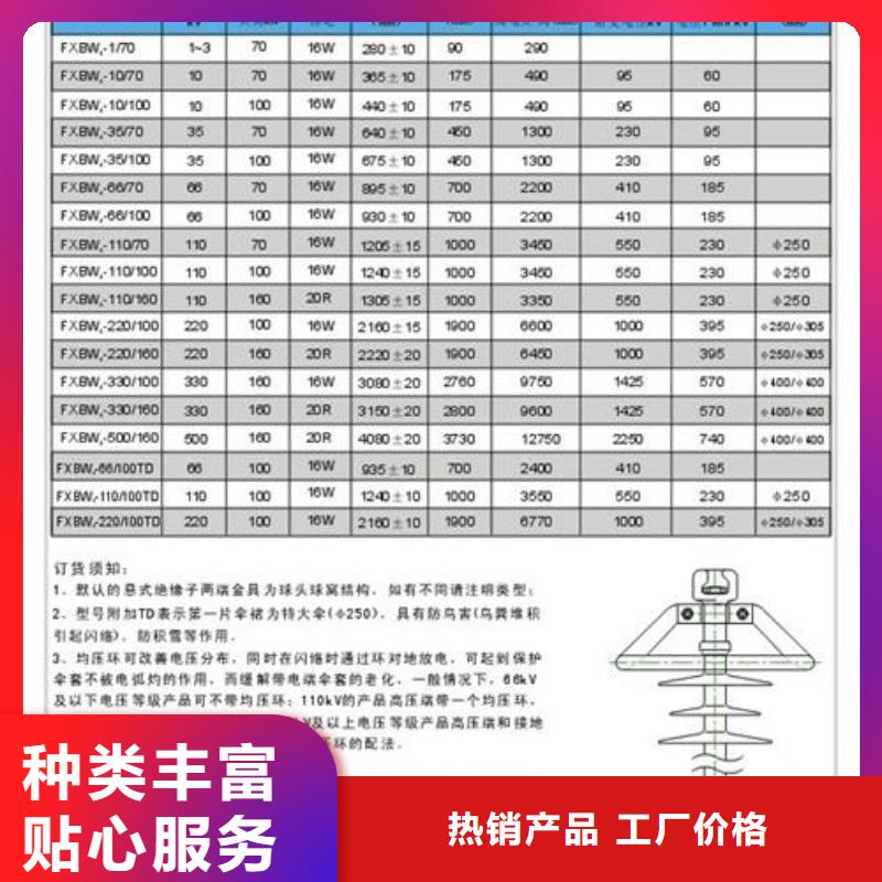 ZS-35/600高压绝缘子