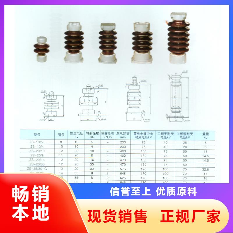 FZSW4-252/12.5复合绝缘子