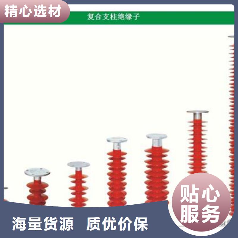 FXBW1-330/120绝缘子樊高