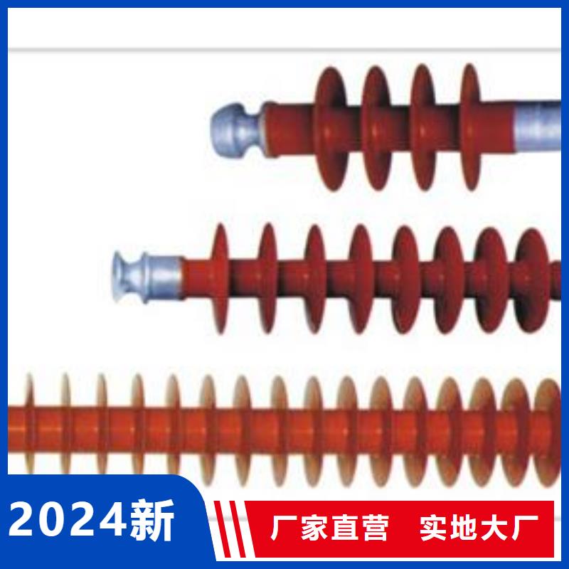 ZS-110/23.5高压绝缘子樊高电气