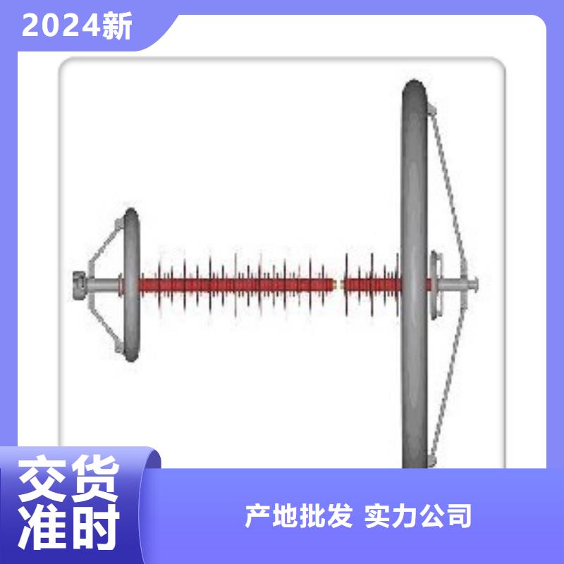 ZL-40.5/8陶瓷绝缘子樊高电气