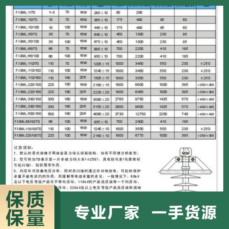 FXBW3-220/100绝缘子樊高