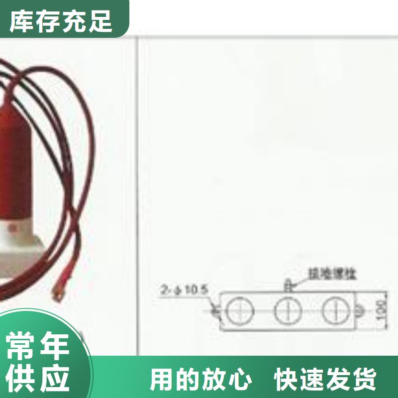 【过电压保护器跌落式熔断器厂家现货快速采购】