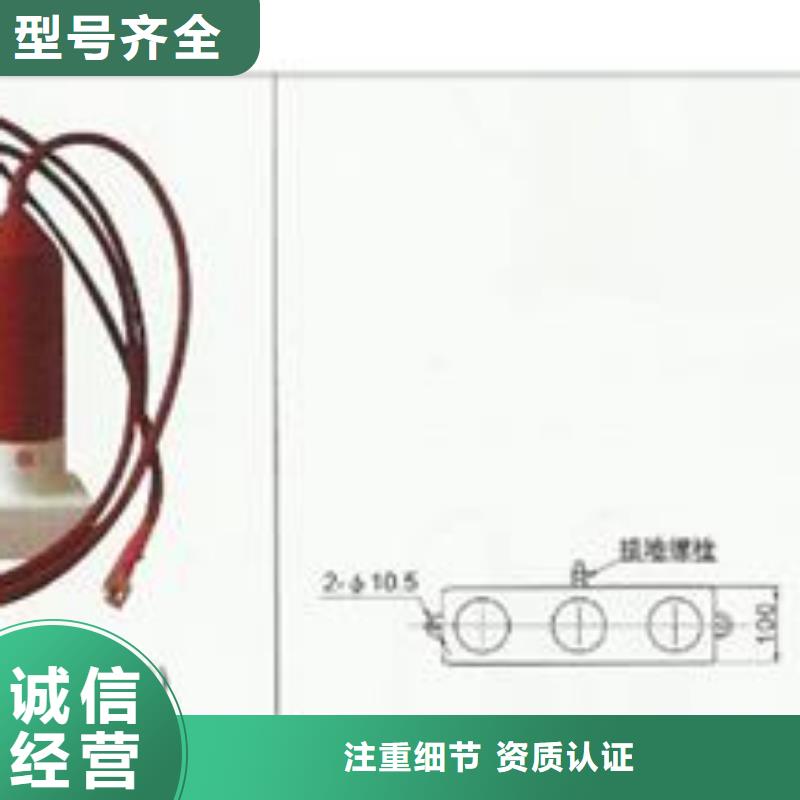 TBP-0-4.6F三相组合式过电压保护器樊高电气