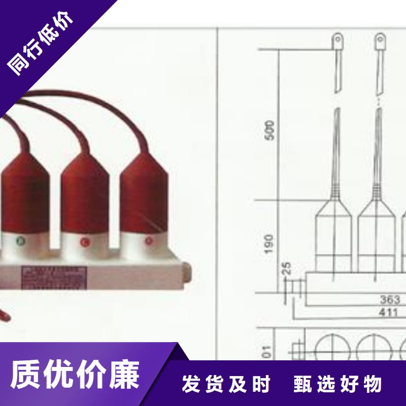 BSTG-B-12.7三相组合式避雷器