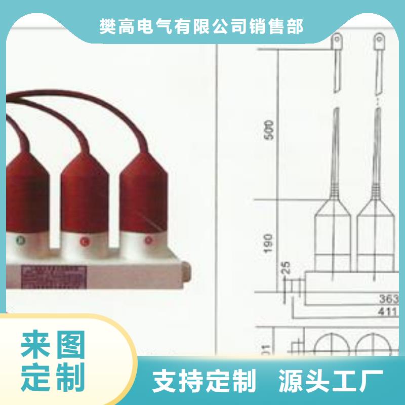 TBP-A-7.6F/131组合式避雷器樊高电气