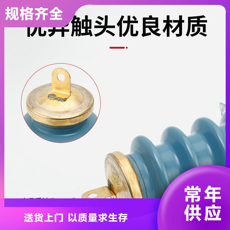 TBP-C-7.6F/85串联间隙过电压保护器