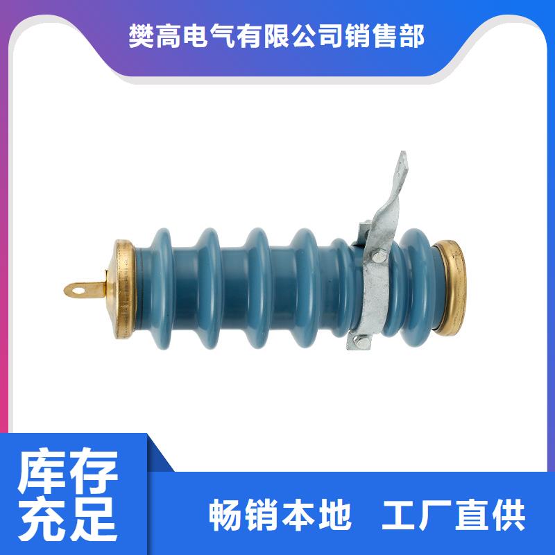 TBP-C-7.6F/85串联间隙过电压保护器