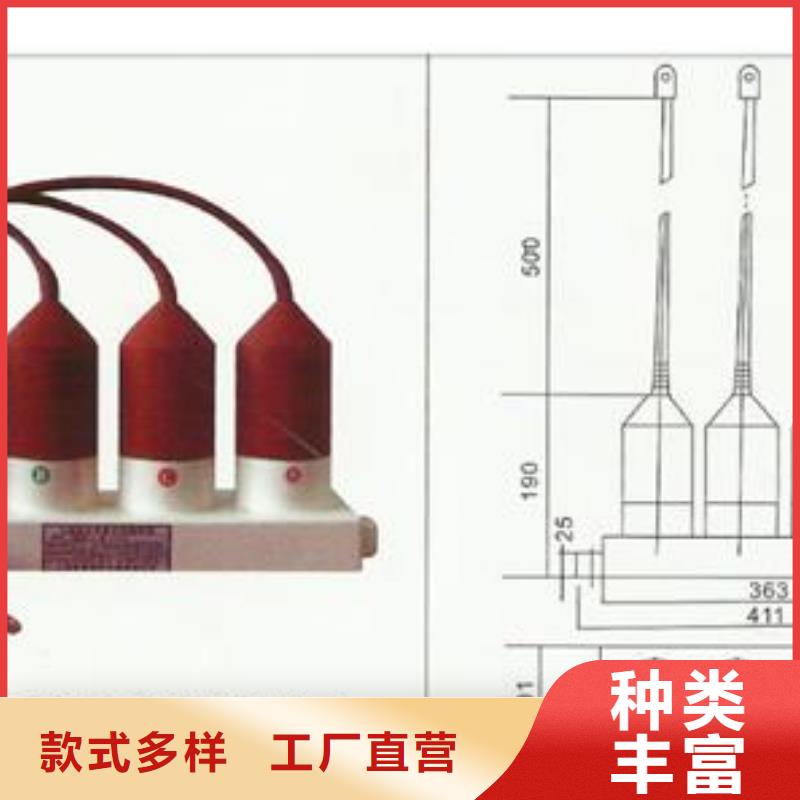 SCGB-C-12.7F/85中性点避雷器