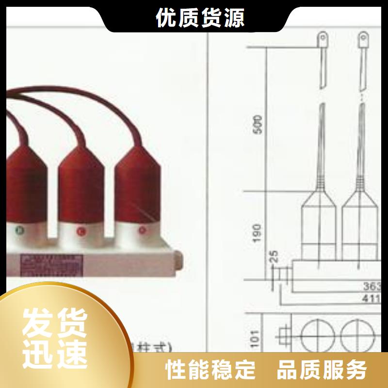 TBP-A-7.6F/131组合式避雷器樊高电气