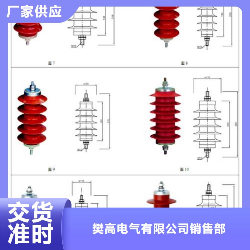 TBP-C-3.8F/131组合式保护器