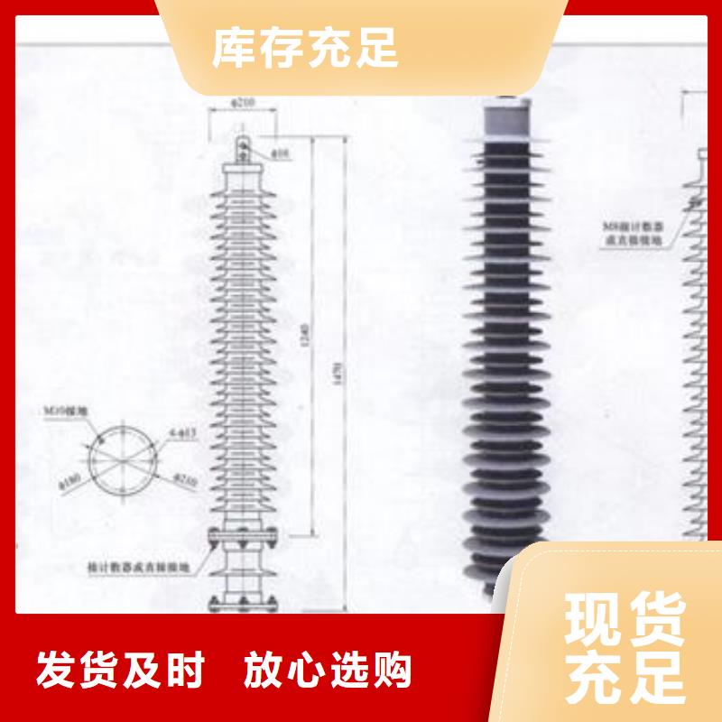 TBP-C-3.8F/131组合式保护器