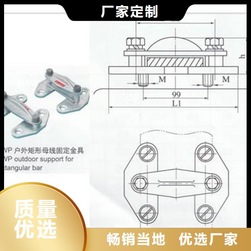 MNP-302母线夹具