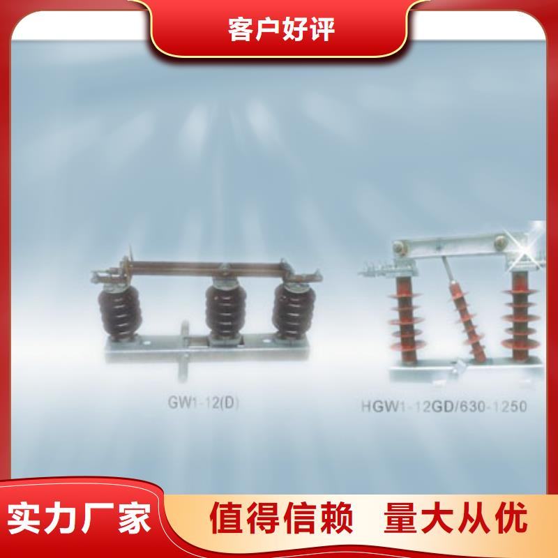 隔离开关限流熔断器实地大厂