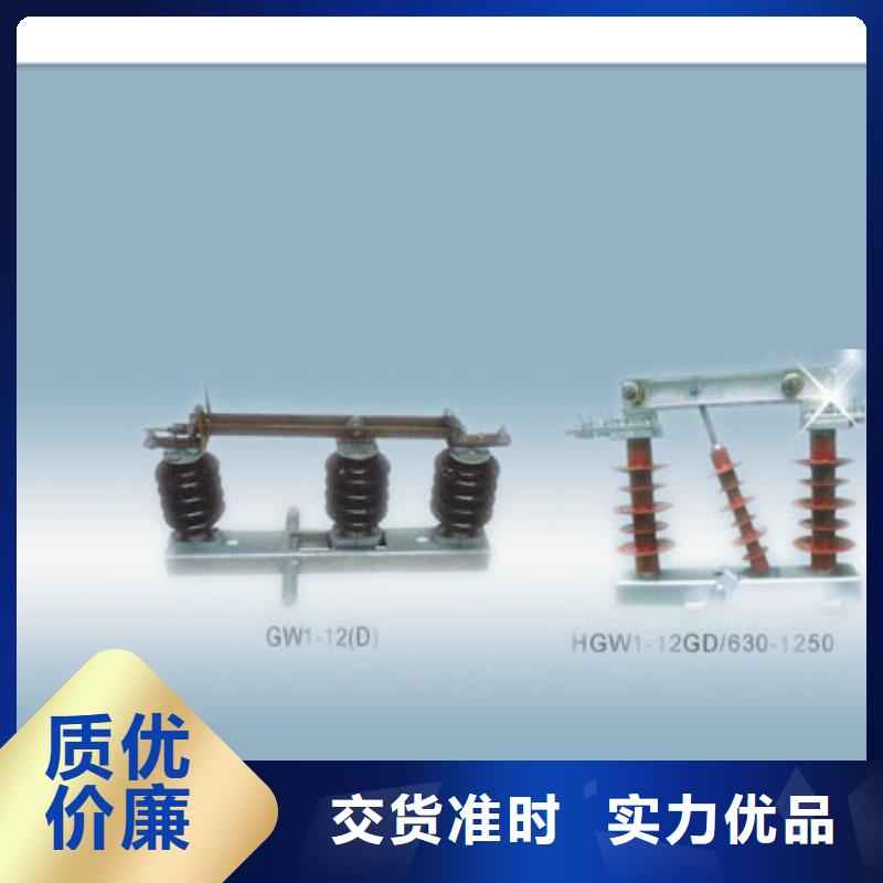 HGW9-24/1000高压隔离开关