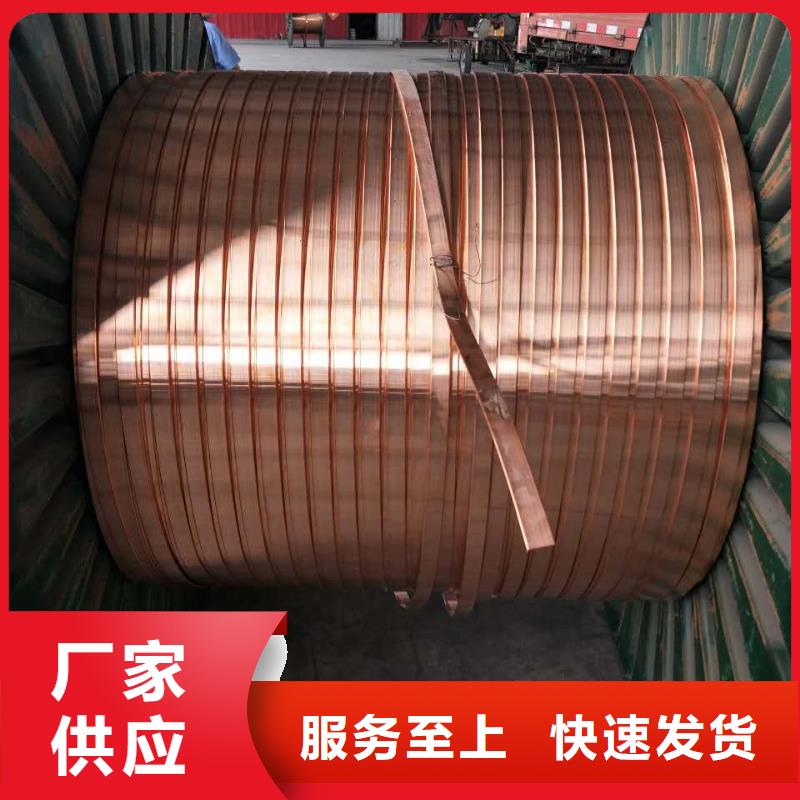 镀锡铜绞线TJX150mm2/铜绞线行情/图/生产厂家