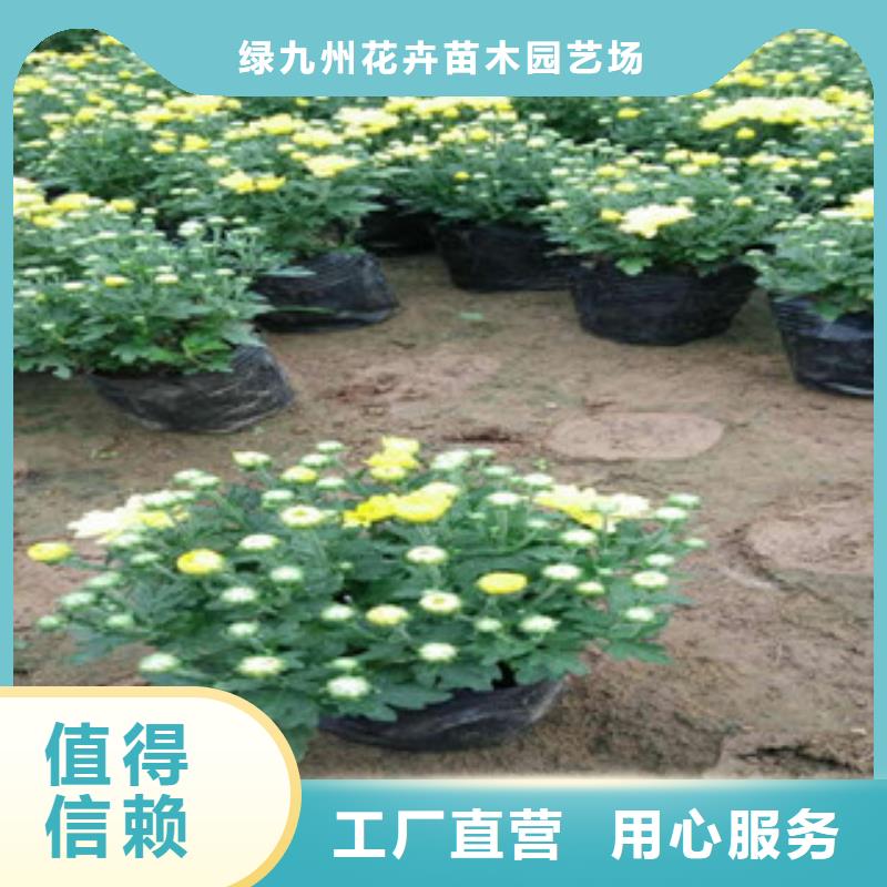 花海景观【花海景观工程】质检严格