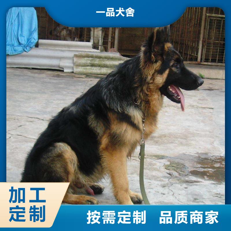 【德国牧羊犬】,卡斯罗犬批发货源