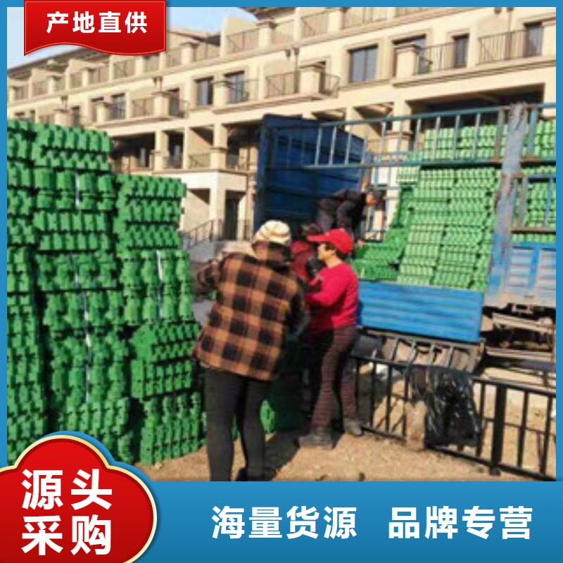 环保植草格【土工布厂家】颜色尺寸款式定制